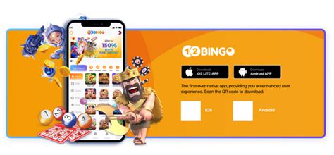 bingo mobiilissa|12Bingo .